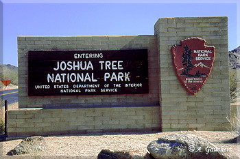 Joshua Tree National Park